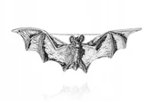 Broszki - SREBRNA BROSZKA NIETOPERZ PRZYPINKA OKSYDOWANA 925 - miniaturka - grafika 1