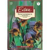 Nasiona i cebule - Szachownica Fritillaria Uva Vulpis 10 sztuk Eden - miniaturka - grafika 1