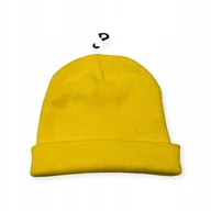 Czapki i chusty sportowe męskie - Czapka zimowa SPENCER'S - miniaturka - grafika 1