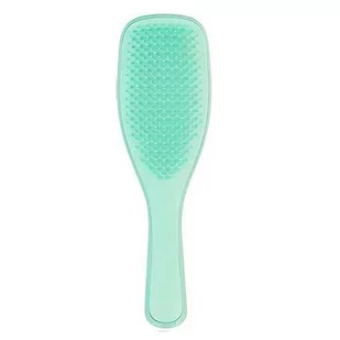 Tangle Teezer HAIRBRUSH FINE & FRAGILE WET DETANGLER HAIRBRUSH MINT Szczotka do włosów - Szczotki i grzebienie do włosów - miniaturka - grafika 1
