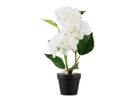 Sztuczne kwiaty - LIVARNO home Sztuczny kwiat Orchidea \ Trawa ozdobna \ Hortensja (hortensja) - miniaturka - grafika 1