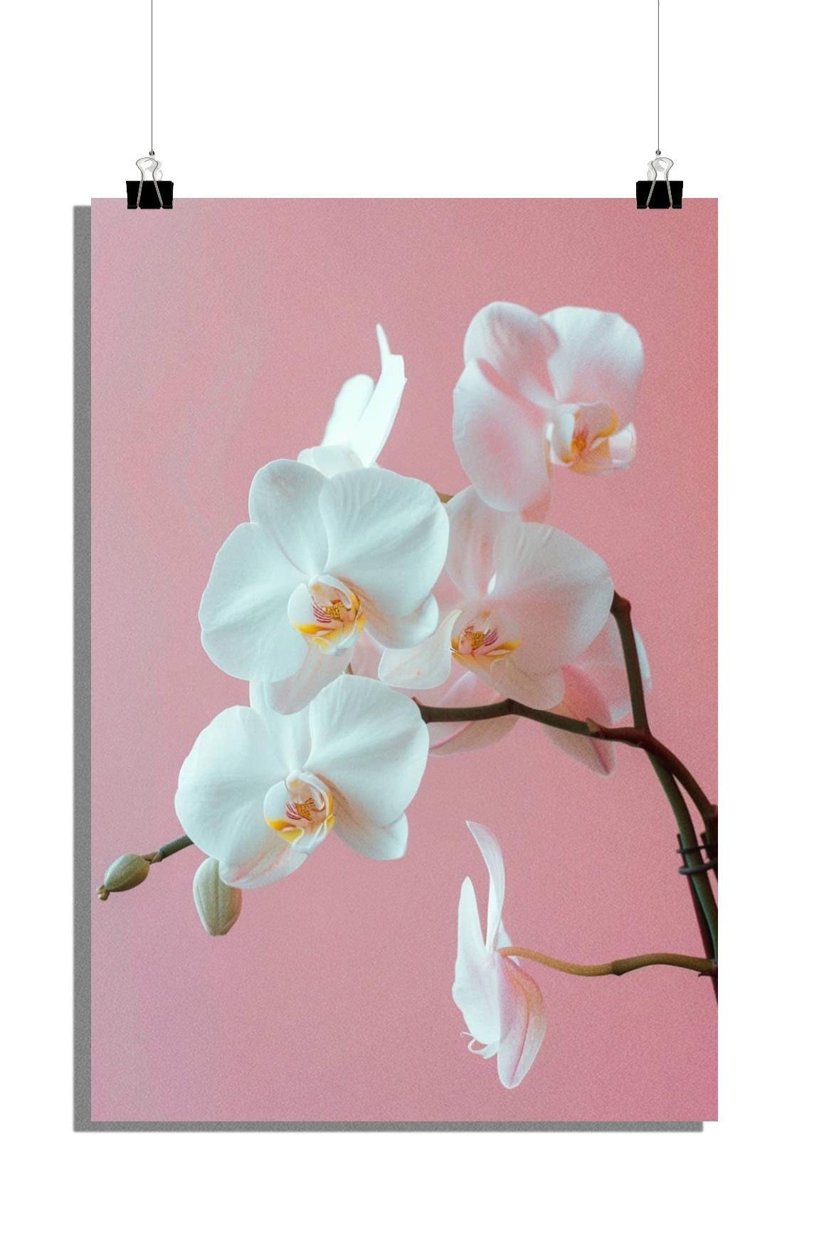 Plakat z białą orchideą - Plakat z kwiatami - Plakat z roślinami - Plakat fotograficzny - 51x71cm - Idealny do oprawienia w ramkę