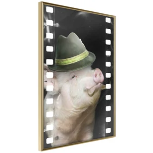 Plakat - Przebrana świnka (rozmiar 40x60, wykończenie Rama złota z passe-partout) - Plakaty - miniaturka - grafika 1