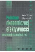 Ekonomia - podstawy ekonomicznej efektywności podziemnej eksploatacji złóż - miniaturka - grafika 1