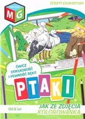 Książki edukacyjne - Jak ze zdjęcia kolorowanka Ptaki - miniaturka - grafika 1