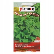 Nasiona i cebule - Plantico Szpinak nowozelandzki - miniaturka - grafika 1