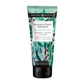 Balsamy i kremy do ciała - Barwa, Natural Expert, odżywczy balsam do ciała Biała herbata + shea, 200ml - miniaturka - grafika 1