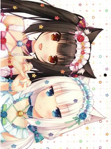 Plakat Anime Manga Nekopara np_015 A2 (custom)