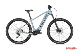 Rower elektryczny Kellys Tayen R50 P 29" 725Wh Sky Blue 2022 - Rowery elektryczne - miniaturka - grafika 1