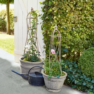 Podpórka do kwiatów, zestaw 2 szt. Zélie - Kratki i pergole - miniaturka - grafika 1