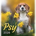 Kalendarz 2026 wieloplanszowy 33x33cm Psy - Kalendarze - miniaturka - grafika 1