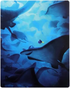 Gdzie jest Dory - Kino familijne Blu-Ray - miniaturka - grafika 1