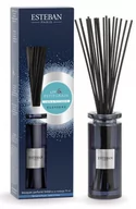 Aromaterapia - Pałeczki Zapachowe - Esteban Paris - Elessens - Linen & Petitgrain - 75ml - miniaturka - grafika 1
