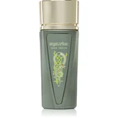 Wody i perfumy męskie - Paris Corner Mysterium woda perfumowana spray 100 ml - miniaturka - grafika 1
