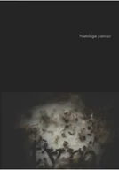 Biografie i autobiografie - Poetologie pamięci - miniaturka - grafika 1