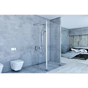 Sea-Horse Easy In kabina prysznicowa 120 cm Walk-In chrom/szkło przezroczyste BK254T12 - Kabiny prysznicowe - miniaturka - grafika 1