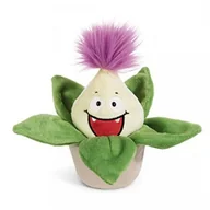 Maskotki i pluszaki - NICI Miękka zabawka plant Aloe Vera Willibald 18 cm - miniaturka - grafika 1