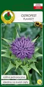 Nasiona i cebule - OSTROPEST PLAMISTY 1g - miniaturka - grafika 1