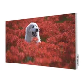 Ogrzewanie przenośne - TERMOFOL Grzejnik na podczerwień z grafiką Pies na Łące TF-SWT1000P - miniaturka - grafika 1