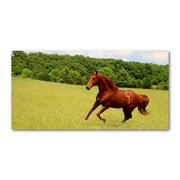 Foto gadżety - Foto-obraz szkło hartowane Koń na łące - miniaturka - grafika 1