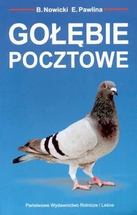 Gołębie pocztowe - Poradniki hobbystyczne - miniaturka - grafika 1