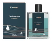 Wody i perfumy męskie - Elfa Pharm Allvernum Element for men Eau de parfum 100 ml - miniaturka - grafika 1
