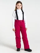 Spodnie narciarskie - Dare 2b Spodnie narciarskie "Motive" w kolorze jagodowym - miniaturka - grafika 1