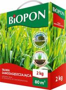 Nasiona i cebule - Trawa Nasiona Samozagęszczająca Uniwersalna 2Kg - miniaturka - grafika 1