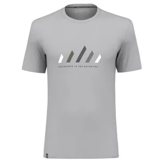 Koszulki męskie - Salewa Męski T-Shirt Pure Stripes Dry M - grafika 1