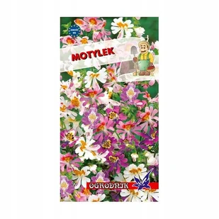 Motylek 0,5g / O / - Nasiona i cebule - miniaturka - grafika 1