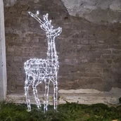 Oświetlenie świąteczne - Star Trading Figurka świetlna LED Pegaz, wysokość 120 cm - miniaturka - grafika 1