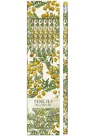 Pedagogika i dydaktyka - Ołówki ozdobne STPEN19 mimoza - zestaw 6 sztuk - miniaturka - grafika 1