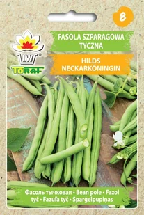 Fasola szp. tyczna zielonostr. HILDS NECKARKÖNIGIN Phaseolus vulgaris L. - Nasiona i cebule - miniaturka - grafika 1