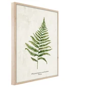 Ramki na zdjęcia - Obraz Framepic 50 x 70 cm FP036 FERN - miniaturka - grafika 1