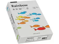 Papier do drukarek - Papyrus Papier Rainbow A4 80g szary R96 88042805 - miniaturka - grafika 1