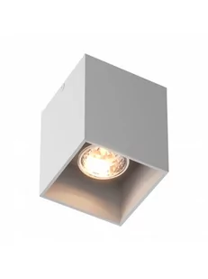 Zuma Line LAMPA WEWNĘTRZNA SPOT) SQUARE SPOT 50475-WH white) Biały 1717-001-200-000-0002 - Lampy sufitowe - miniaturka - grafika 1