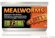 Pokarm dla płazów i gadów - Exo-Terra Pokarm w puszce - mączniki Mealworms - miniaturka - grafika 1