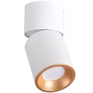 Lampy sufitowe - Polux Oczko natynkowe 1x10W GU10 Nixa biało-złote 314260 SANICO 314260 - miniaturka - grafika 1