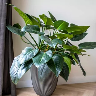 Donica Elegant Groove, 34x46 cm, antracytowa Lumarko! - Donice - miniaturka - grafika 1