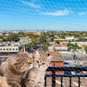 Legowiska dla kotów - Ferplast Siatka ochronna dla kota, 400x300 cm, nylon, rozmiar M - miniaturka - grafika 1