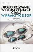 Książki medyczne - Wydawnictwo Lekarskie PZWL Postępowanie w obrażeniach ciała w praktyce SOR - Przemysław Guła, Machała Waldemar - miniaturka - grafika 1