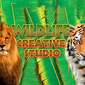 Gry PC Cyfrowe - Wildlife Creative Studio (1 urządzenie / Lifetime) (Steam) - miniaturka - grafika 1