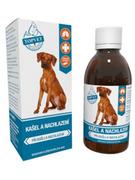 Suplementy i witaminy dla psów - Topvet Syrop Dla Psów Na Kaszel i Przeziębienie 200 ml - miniaturka - grafika 1
