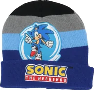 Czapki dla dzieci - Czapka zimowa Sonic Wygodna i ciepła czapka dla dzieci Niebieski - miniaturka - grafika 1