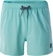 Kąpielówki męskie - AquaWave Męskie Szorty DEGRAS - miniaturka - grafika 1