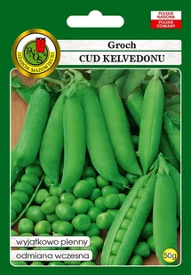 Groch siewny łuskowy Cud Kelvedonu 50 g PNOS - Nasiona i cebule - miniaturka - grafika 1