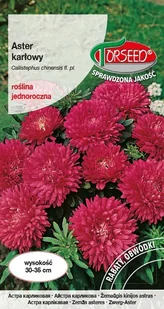 Nasiona Aster karłowy karminowy 0,5g - Torseed - Nasiona i cebule - miniaturka - grafika 1