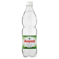 Woda - Muszynianka Woda Woda 0,6l niskonasycona n/g 8/zg CS1916 - miniaturka - grafika 1