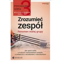 Jerzy Gut; Wojciech Haman Psychologia szefa 3 Zrozumieć zespół Fenomen małej grupy - Biznes - miniaturka - grafika 1