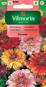 Nasiona i cebule - Złocień trójbarwny Dunnettii nasiona 0,3g Vilmorin - miniaturka - grafika 1